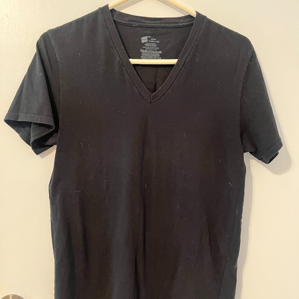 Hanes V Neck TShirt